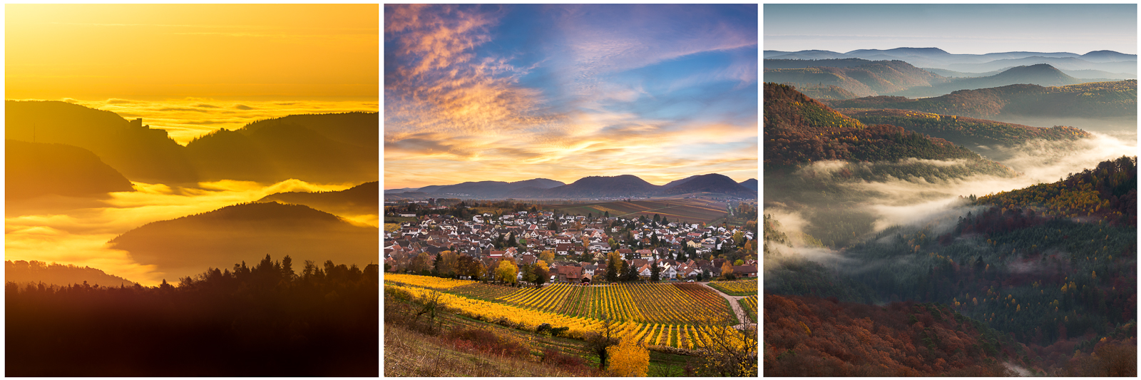 Pfälzerwald im Spätherbst